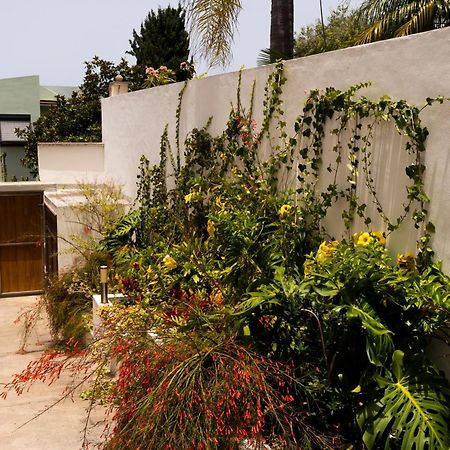 סאוסאל Villa Laurisilva מראה חיצוני תמונה