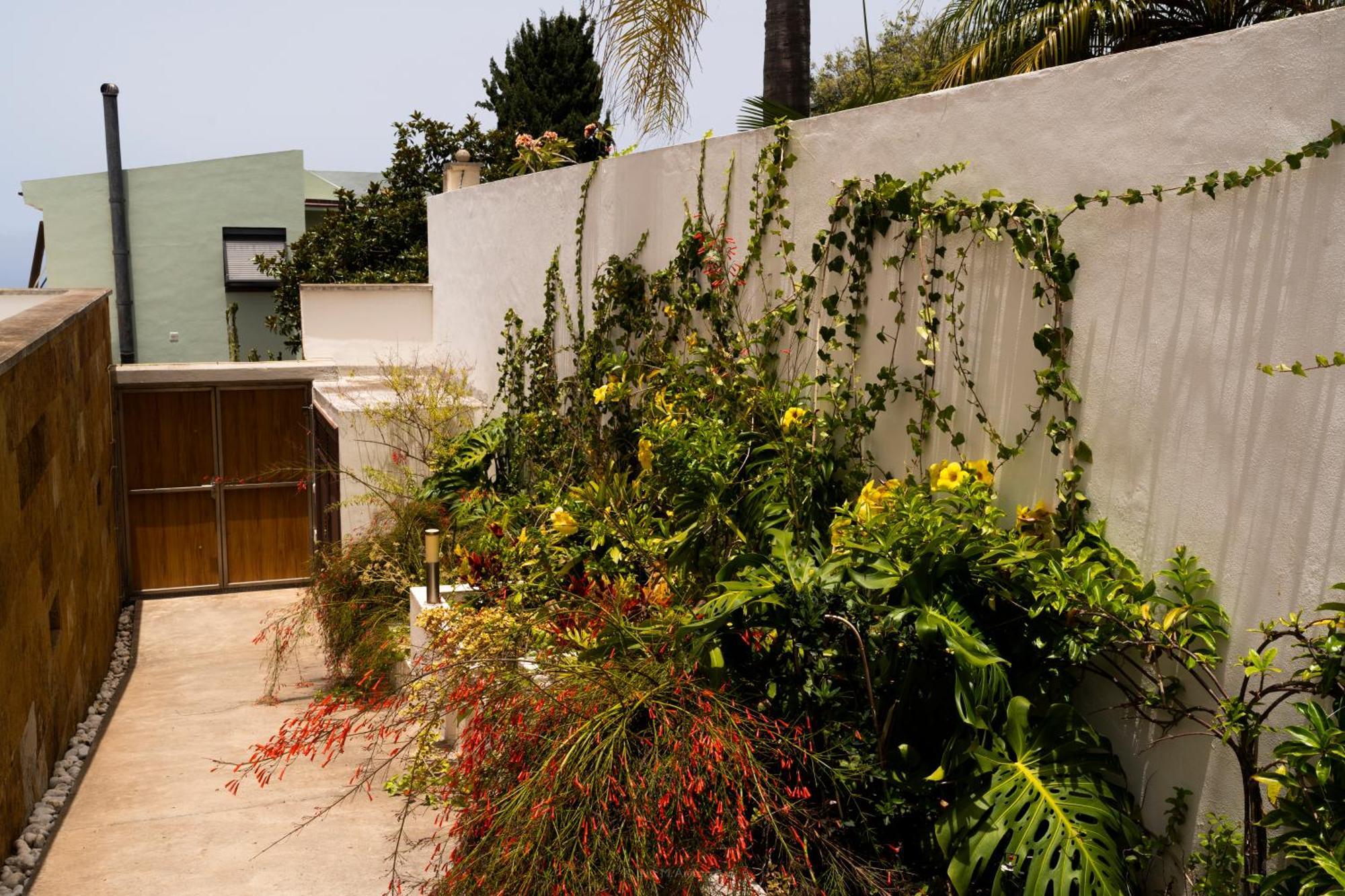 סאוסאל Villa Laurisilva מראה חיצוני תמונה